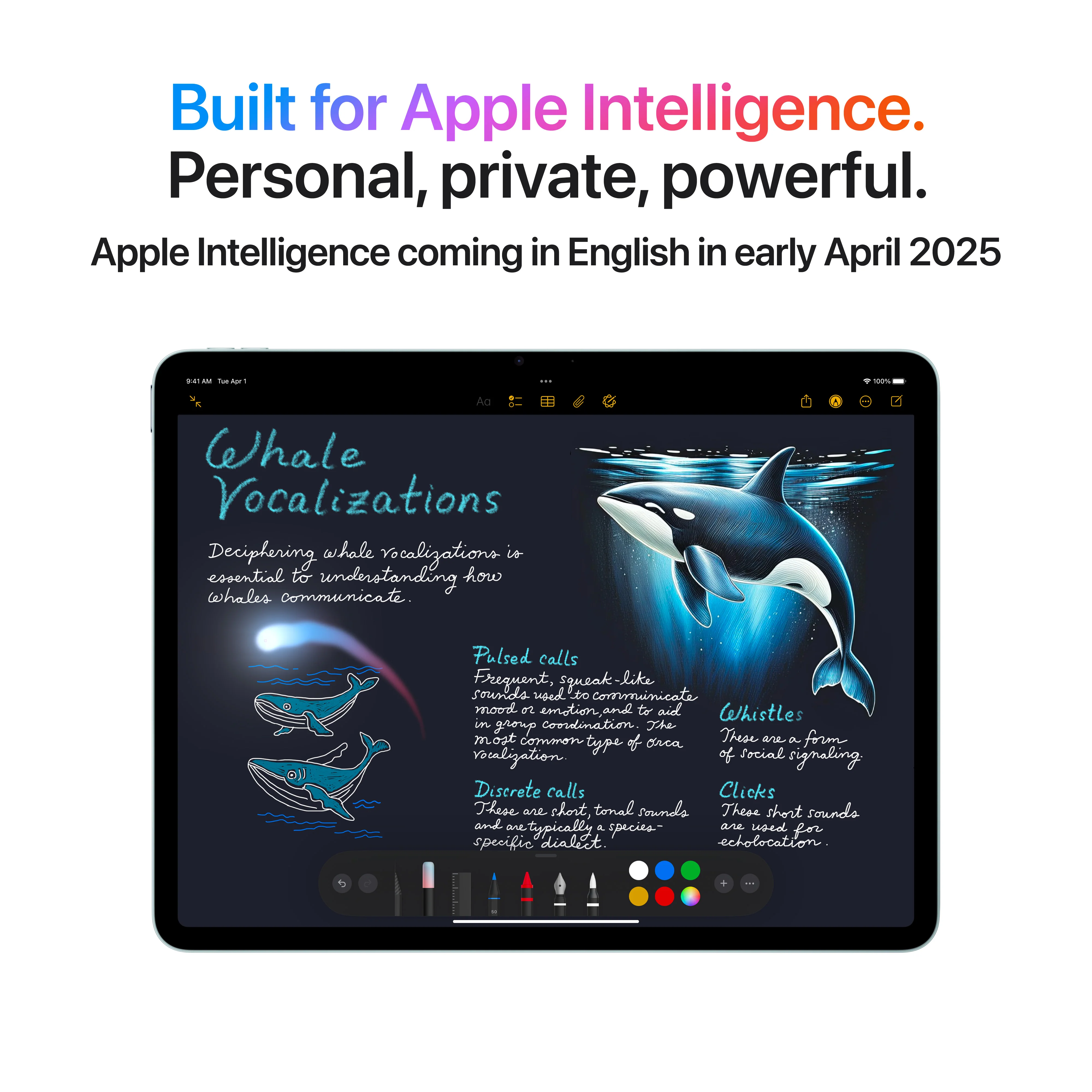 EOL 13-inch iPad Air Wi-Fi + Cellular 128 GB - Paars (M3) - Image 5