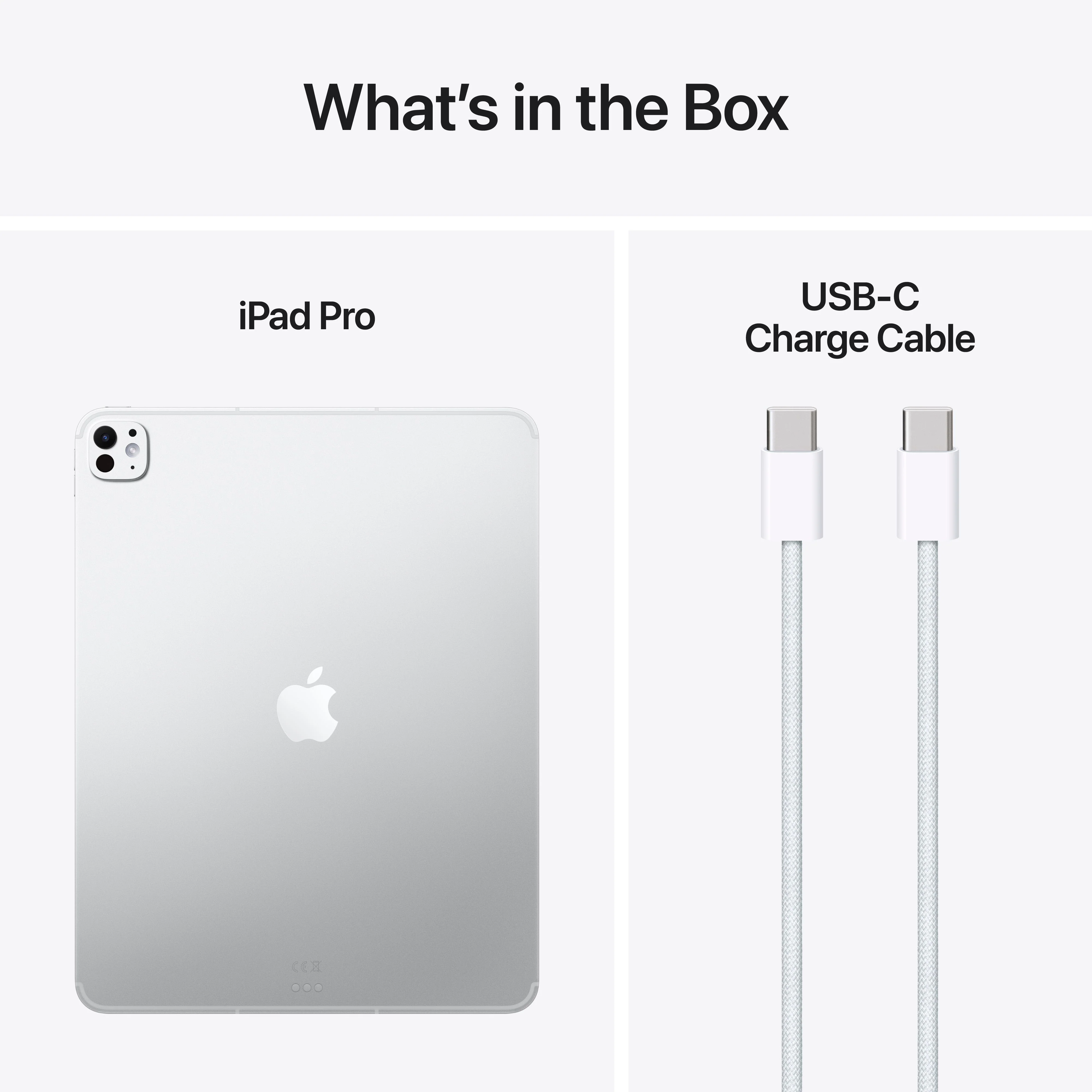 13-inch iPad Pro Wi-Fi + Cellular 1 TB Standaardglas - Zilver (M5) - Image 9
