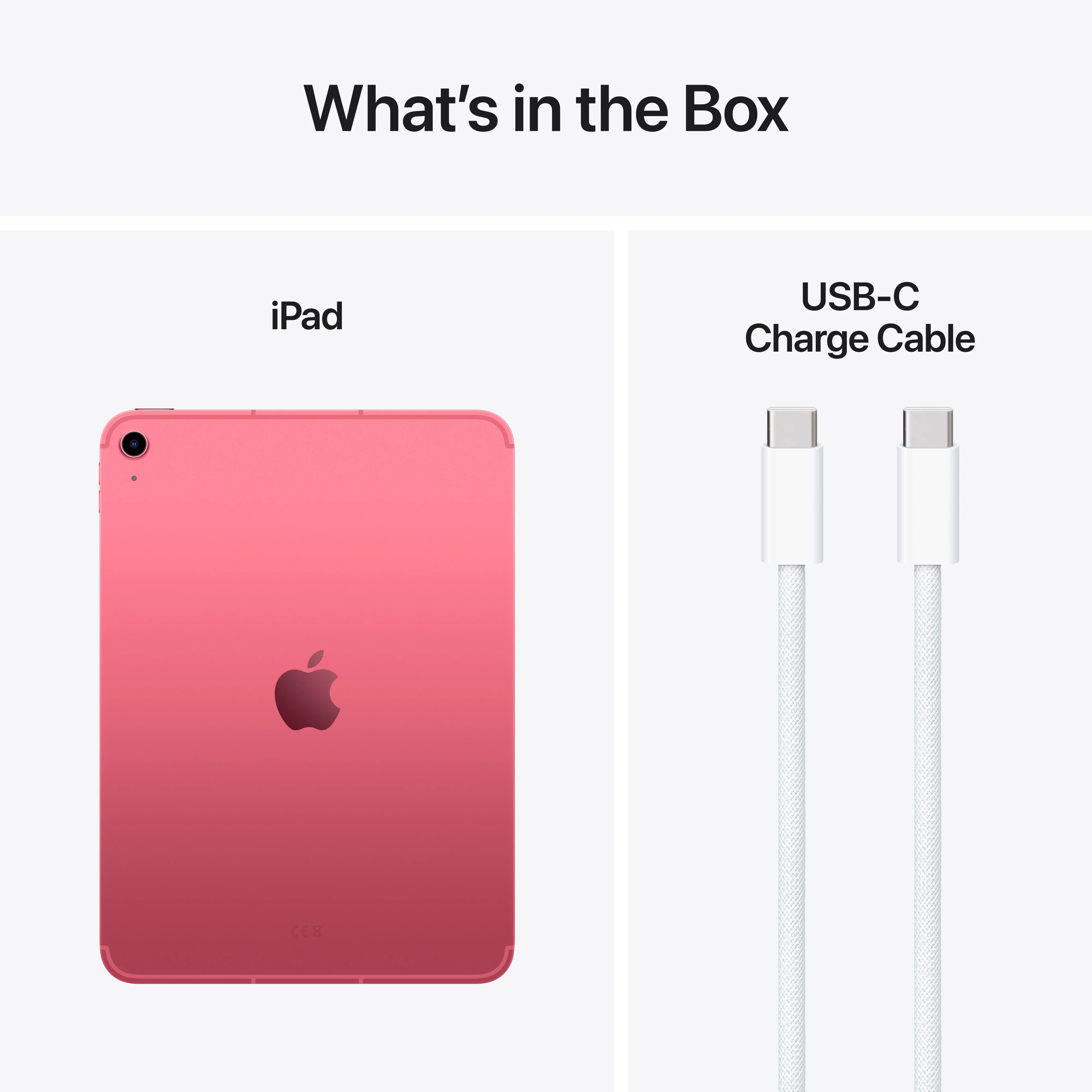 iPad Wi-Fi + Cellular 128 GB - Roze (A16) - Image 8