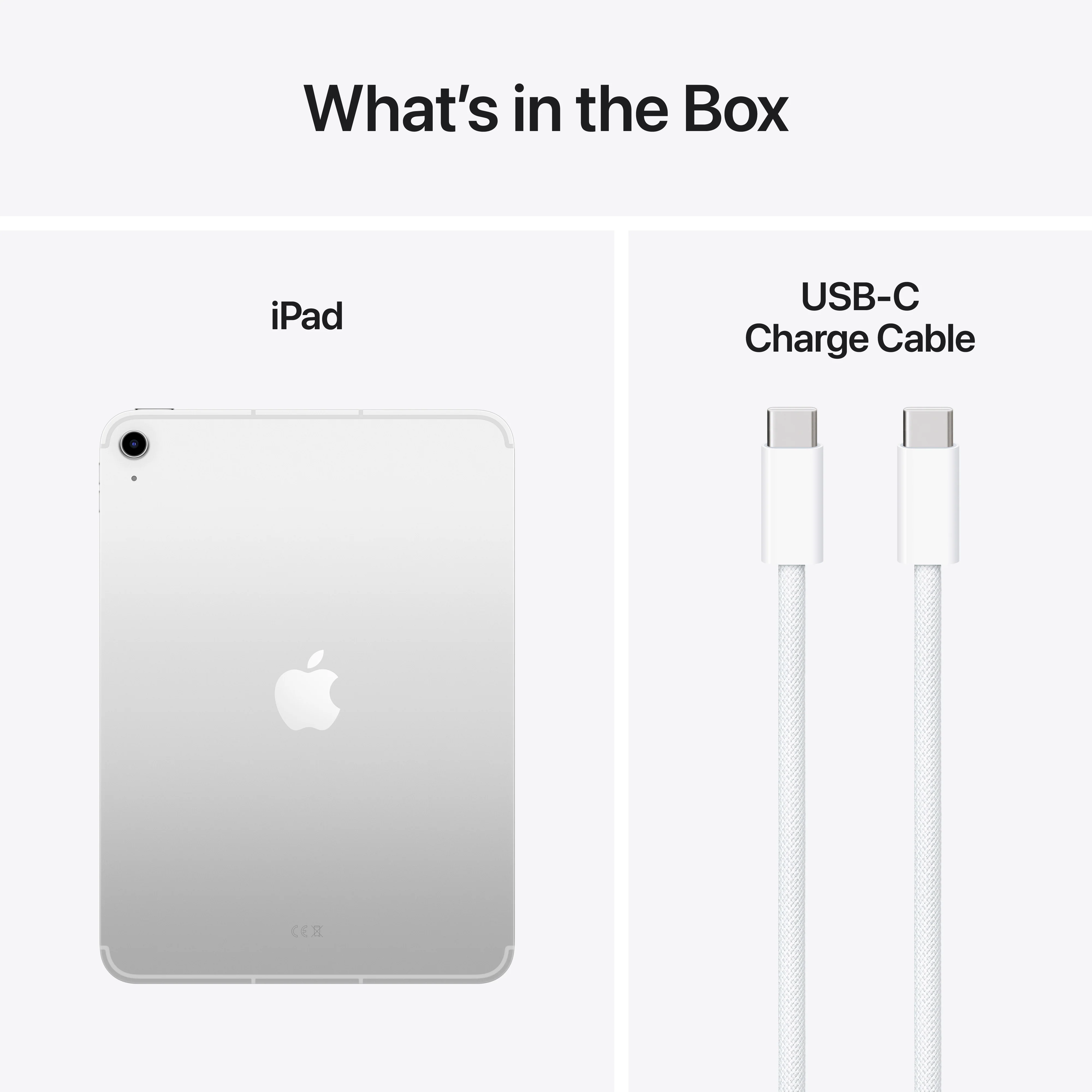 iPad Wi-Fi + Cellular 256 GB - Zilver (A16) - Image 8