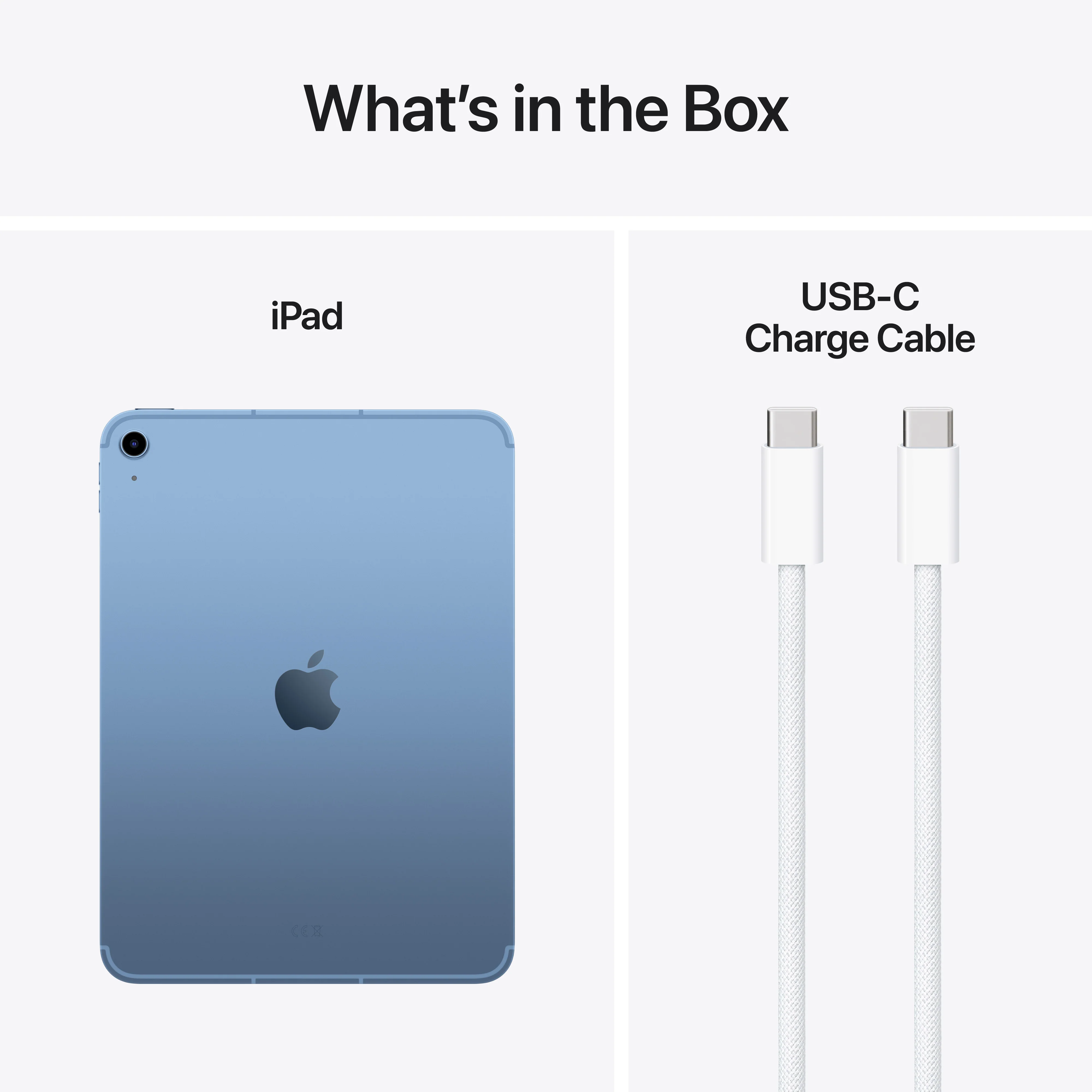 iPad Wi-Fi + Cellular 256 GB - Blauw (A16) - Image 8