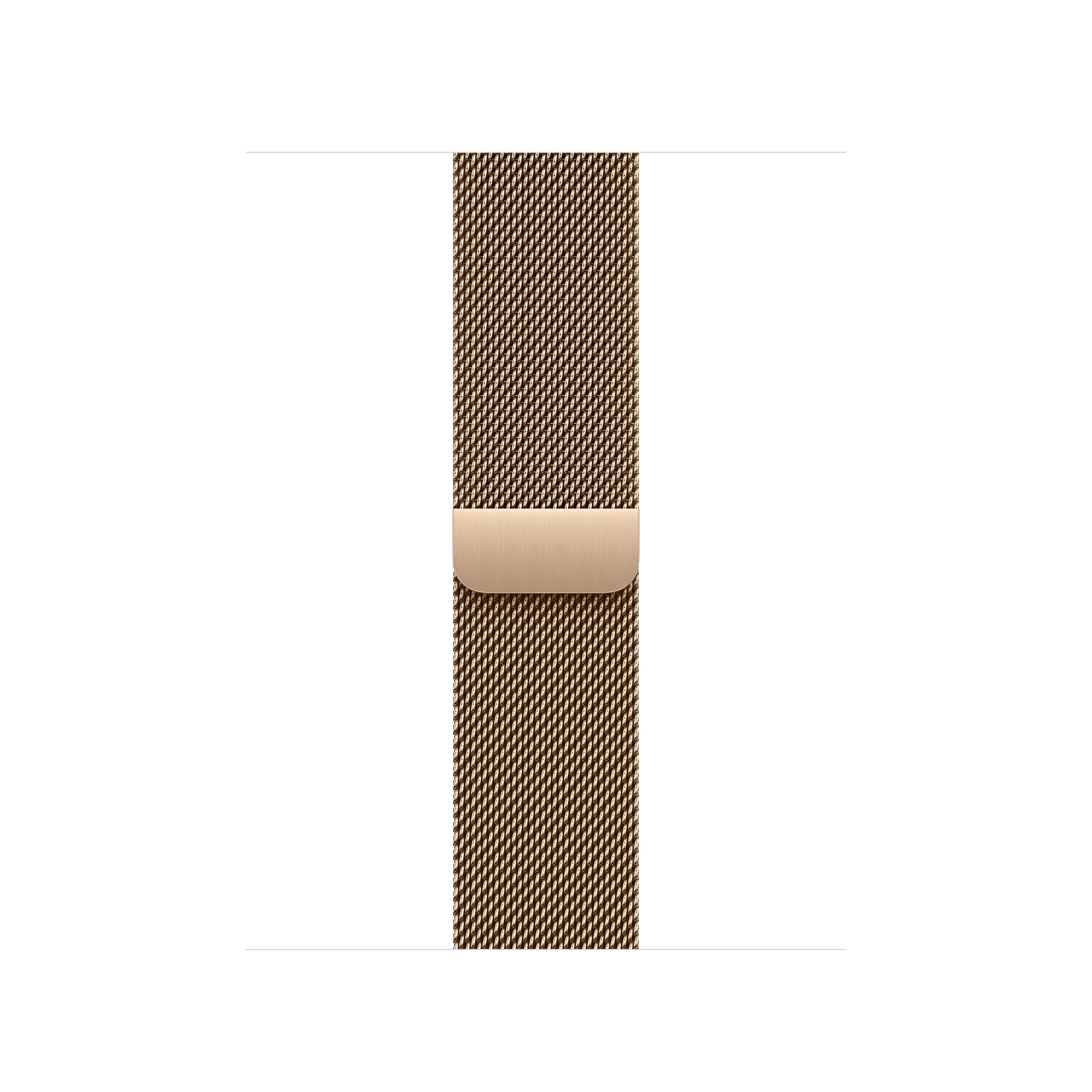 Goudkleurig Milanees bandje (42 mm)